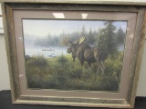 Large Moose Observing Boat Picture