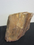 Petrified Wood