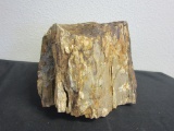 Petrified Wood