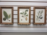 Lot of 3 Nature Pictures in Gold Tone Frames