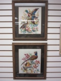 Lot of 2 Needlework Bird Wall Art