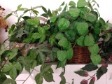 Two artificial plants in baskets