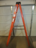 Orange Wagner Ladder