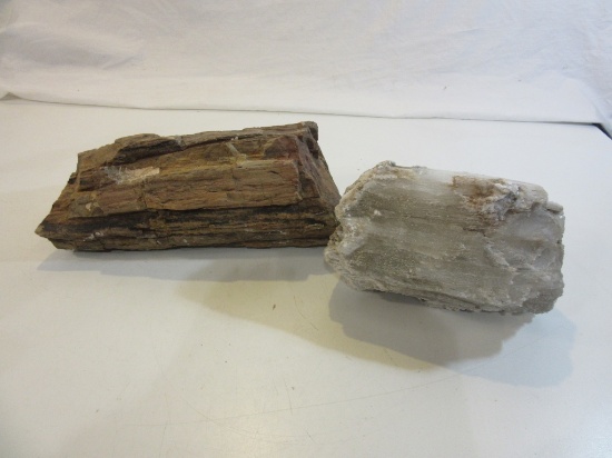 Petrified Wood and Bornite/ Gypsum Stone