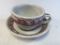 Tepco Western Teacup and Saucer