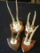 Lot of 4 Deer Antlers on Hanging Wood Base