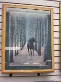 Print of Horse Trotting through the Woods 30