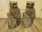 Set of 2 Owl on Log Welcome Yard Art