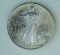 1995 Silver Eagle Dollar - #838
