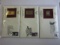Lot of 3 First Day of Issue Stamps