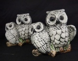 Pair of Owl Couples