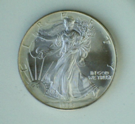 1995 Silver Eagle Dollar - #831