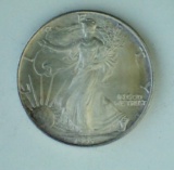 1995 Silver Eagle Dollar - #844