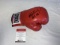 MICHAEL CARBAJAL Everlast Boxing Glove SIGNED COA
