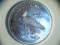 1981 .999 1oz Silver  American Eagle Coin