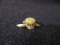 Carved Stone Turtle Zumi Tribe Pocket Fetish