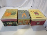 Lot of 3 Fruit/Veggie Themed Storage Boxes