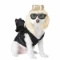 POP SENSATION Pet Dog Costume Size Medium NEW