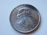 2013 .999 Silver 5 Dollar Canadian Coin