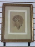Framed & Matted Buffalo Art Print