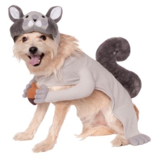 SQUIRREL Pet Dog Costume Size XL