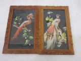 Pair of Bird of Paradise Prints 6.5