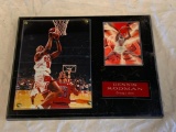 DENNIS RODMAN Chicago Bulls Wall Plaque with photo and Trading Card