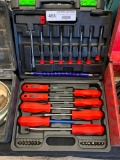 Screw drive and Bits Tool Set with case