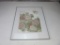 Framed Japanese Print of Birds and Flowers 20