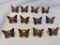 Lot of 12 Cloisonne Butterfly Scarf Clips