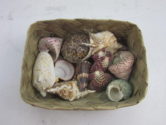 Wicker Basket Full of Various Sea Shells