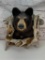 Black bear taxidermy mount