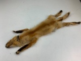 Fox pelt taxidermy hunting lodge rug, hide, wildlife Cabin Decor