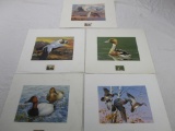 Lot of 5 bird-theme wildlife prints taken from wildlife habitat stamps from the US and Canada