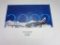 Salt Lake 2002 Delta Airlines Olympic Poster In Good Condition 21