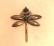 Sterling Silver Dragonfly Brooch with Turquoise Accent Stones 12 grams