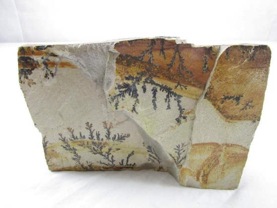 Piece of Utah Dendrited Natural Stone Nice home decor 8.5" x 6"
