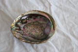 Mother of Pearl Abalone Shell