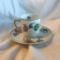 2 Piece French Teacup and Saucer Set Made in France by C. Ahrenfeld