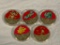 Set of 5 POKEMON Limited Edition Novelty Tokens Coins