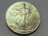 2001 Silver Eagle 1oz Fine Silver