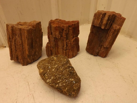 BEAUTIFUL...Natural Petrified Wood Lot of 3 plus 1 mystery rock