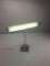 Fluorescent Desk Lamp