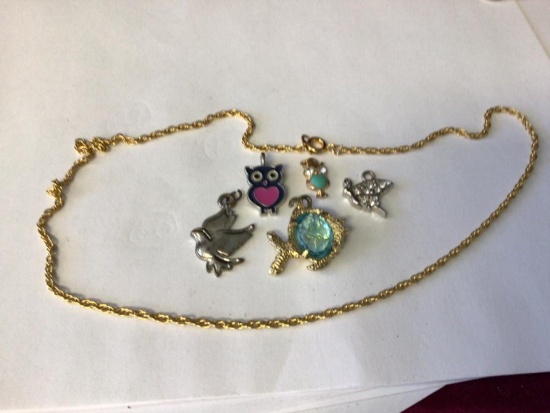 Lot of Five Unique Pendants along with nice 18 inch Rope...Goldtone Necklace...