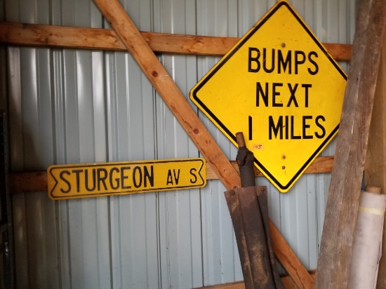 (2) Signs: Bumps & Sturgeon Ave