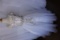 Rachel Allan Perfect Angels Beaded Kids Ball gown, Size 6, White, $498 Reta