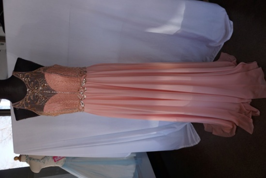 Fabiana Glamour, Beaded Gown, Light Pink, Size 10, $398 Retail Cost, Plasti