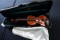 Musaica Imports 2012 1/2 Conservatory Violin, SN #PA1065, Hard Sided Case.