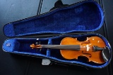 A. Cavallo Violins 2002 14 Inch Academia Violin, SN #ACV1200, Hard Sided Ca