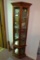 Small Lighted Curio Cabinet with (3) Glass Shelves (25